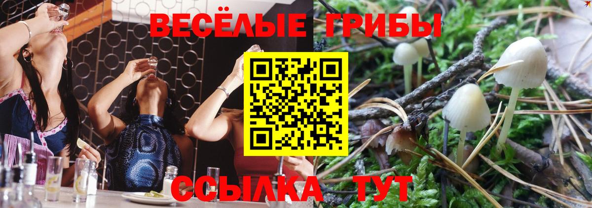 А ПВП Тула